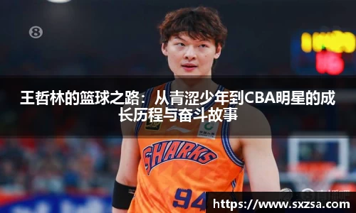 王哲林的篮球之路：从青涩少年到CBA明星的成长历程与奋斗故事