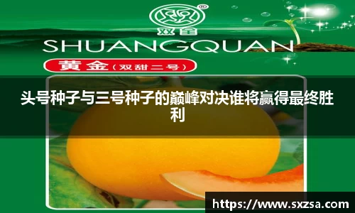 头号种子与三号种子的巅峰对决谁将赢得最终胜利